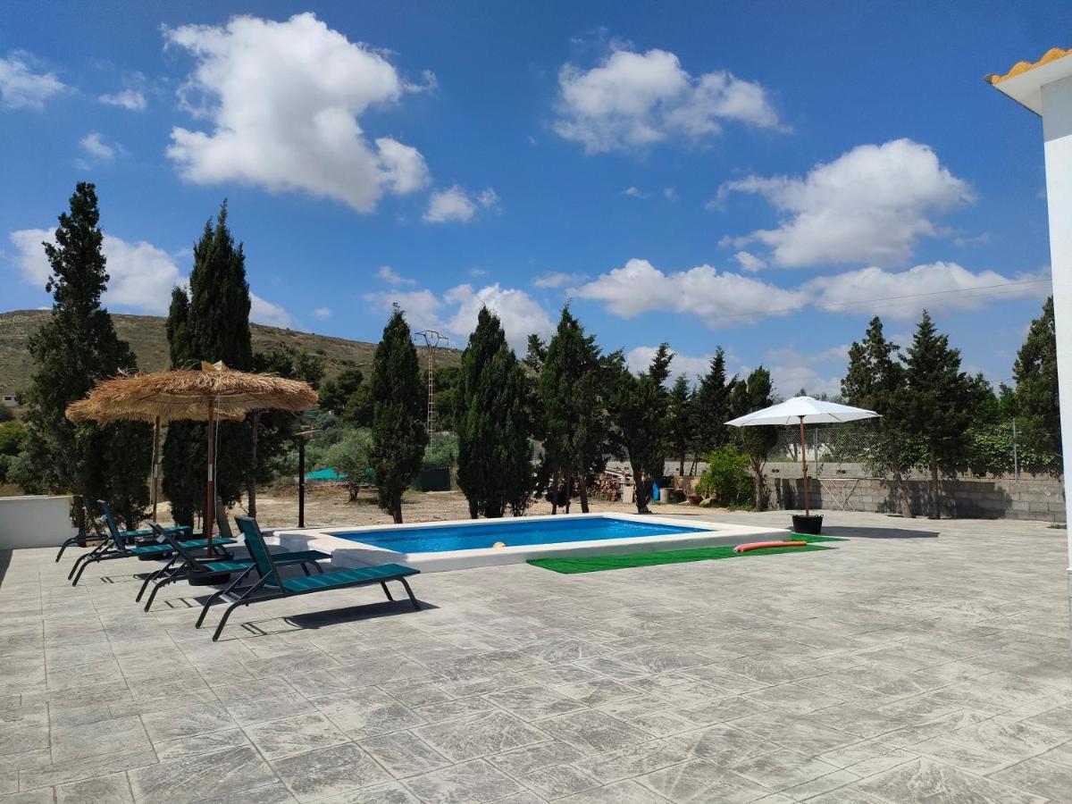 Casa Rural Con Piscina Climatizada Y Barbacoa A 10 Km De Alicante Y Playas, 3000 M2 De Terreno Elche Exterior photo